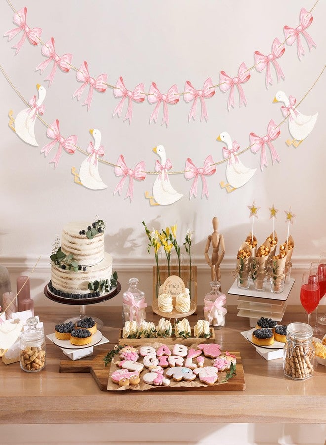 تاوباري مجموعة من قطعتين من لافتة عيد ميلاد أوزة مضحكة من TaoBary، لافتة موضوع أوزة، ديكور حفل عيد الميلاد الأول لحفل استقبال المولود الجديد، لوازم حفلات الفتيات (وردي) - Image 4