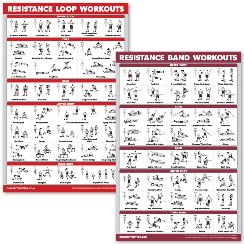 Palace Learning QUICKFIT 2 Pack - Resistance Bands and Resistance Loops Workout Posters - Set of 2 LAMINATED Charts - Resistance Band Tubes and Loops Exercise Charts (Laminated, 18" x 24") - Image 1