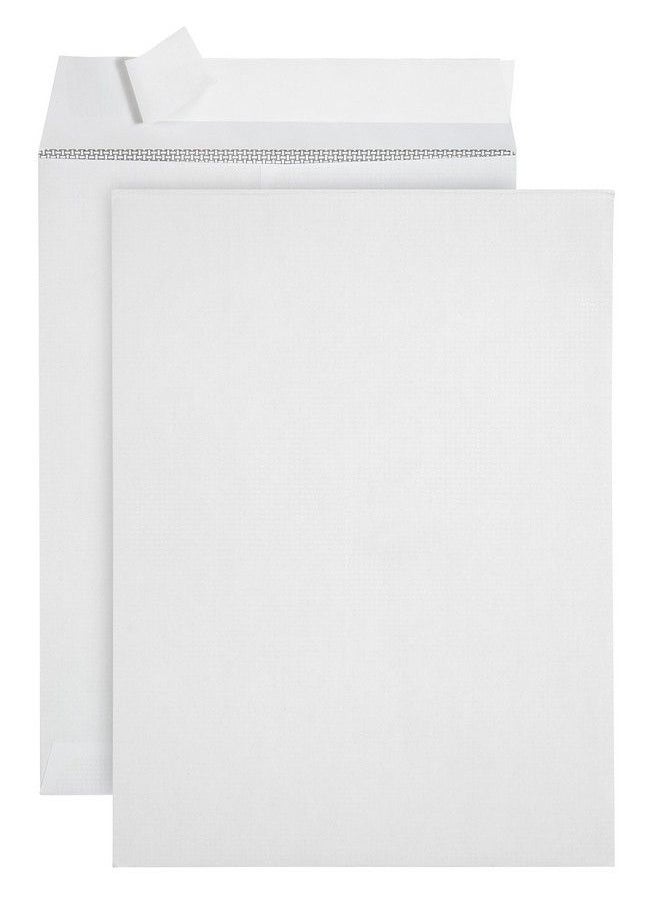 Blue Summit Supplies - 100 9 X 12 Self Seal Security Catalog Envelopes Designed For Secure Mailing Securely Holds Up To 60 Sheets Of Paper With Strong Peel And Seal Flap (100 Envelopes) - Image 1