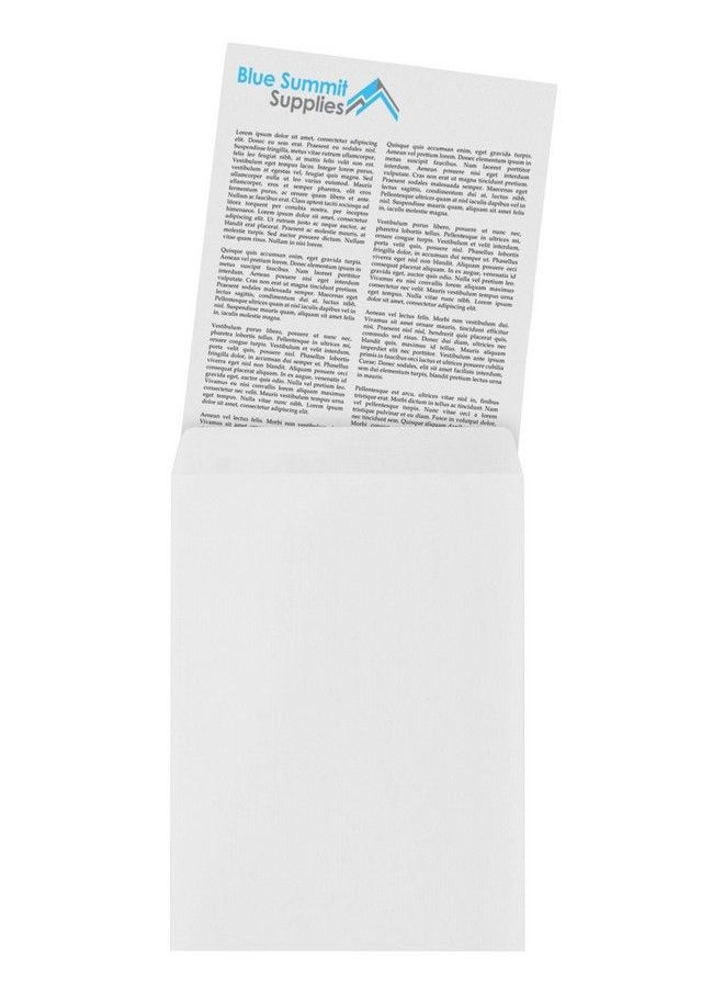 Blue Summit Supplies - 100 9 X 12 Self Seal Security Catalog Envelopes Designed For Secure Mailing Securely Holds Up To 60 Sheets Of Paper With Strong Peel And Seal Flap (100 Envelopes) - Image 1