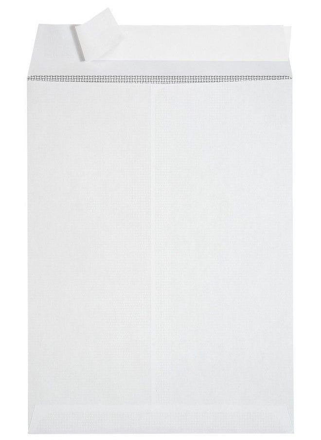 Blue Summit Supplies - 100 9 X 12 Self Seal Security Catalog Envelopes Designed For Secure Mailing Securely Holds Up To 60 Sheets Of Paper With Strong Peel And Seal Flap (100 Envelopes) - Image 1