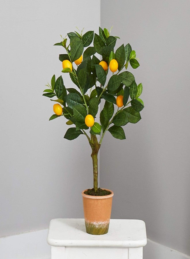 Nearly Natural 24in. Lemon Artificial Tree - Image 3