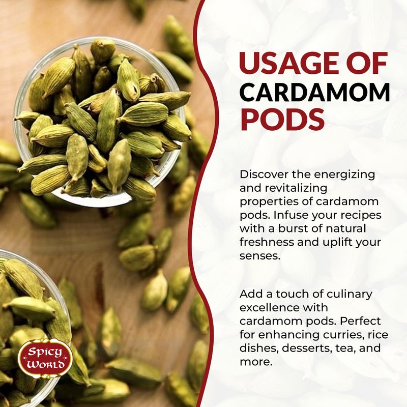 Spicy World Green Cardamom Pods 3.5 Oz - As Seen on Tik Tok - Premium Quality Whole Green Cardamom Pods | Vegan | Large | Aromatic Cardamon - Image 4