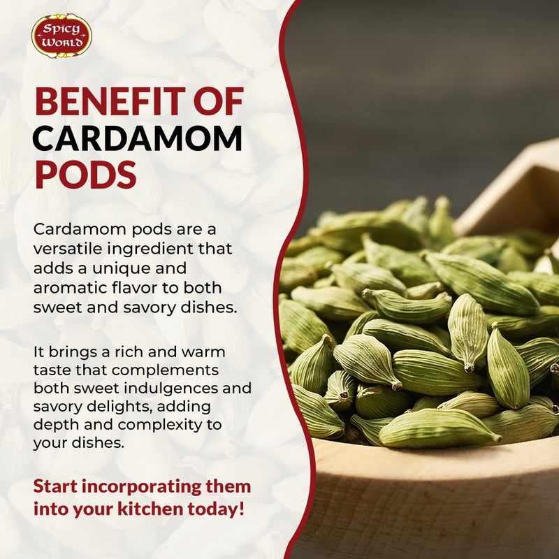 Spicy World Green Cardamom Pods 3.5 Oz - As Seen on Tik Tok - Premium Quality Whole Green Cardamom Pods | Vegan | Large | Aromatic Cardamon - Image 5