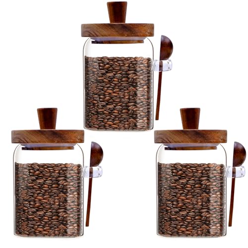 Taefaba 3PCS Spice Jars Overnight Oats Containers with Airtight Lid and Wooden Spoon,17 OZ Glass Food Storage Canisters, Glass Jars for Coffee Bean, Sugar, Dry Goods,Cookie,Candy,Cereal,Tea,Salt - Image 1