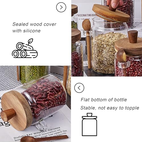 Taefaba 3PCS Spice Jars Overnight Oats Containers with Airtight Lid and Wooden Spoon,17 OZ Glass Food Storage Canisters, Glass Jars for Coffee Bean, Sugar, Dry Goods,Cookie,Candy,Cereal,Tea,Salt - Image 2
