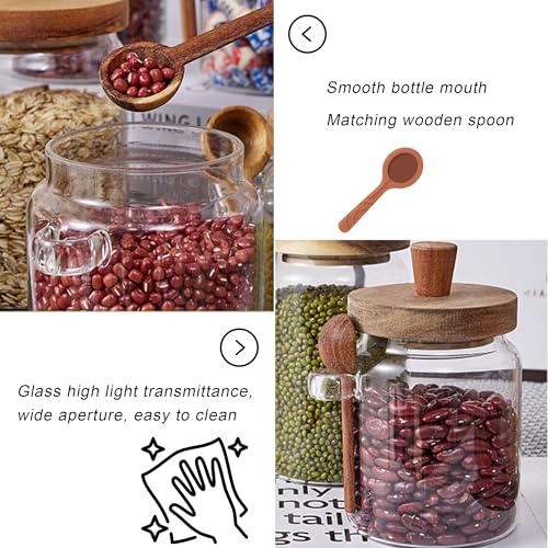 Taefaba 3PCS Spice Jars Overnight Oats Containers with Airtight Lid and Wooden Spoon,17 OZ Glass Food Storage Canisters, Glass Jars for Coffee Bean, Sugar, Dry Goods,Cookie,Candy,Cereal,Tea,Salt - Image 3
