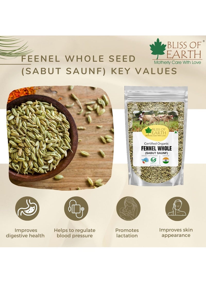BLISS OF EARTH 200gm Fennel Seed Saunf Indian Spice Fresh & Sweet Great for Weight Loss Health & Cooking  - Image 5