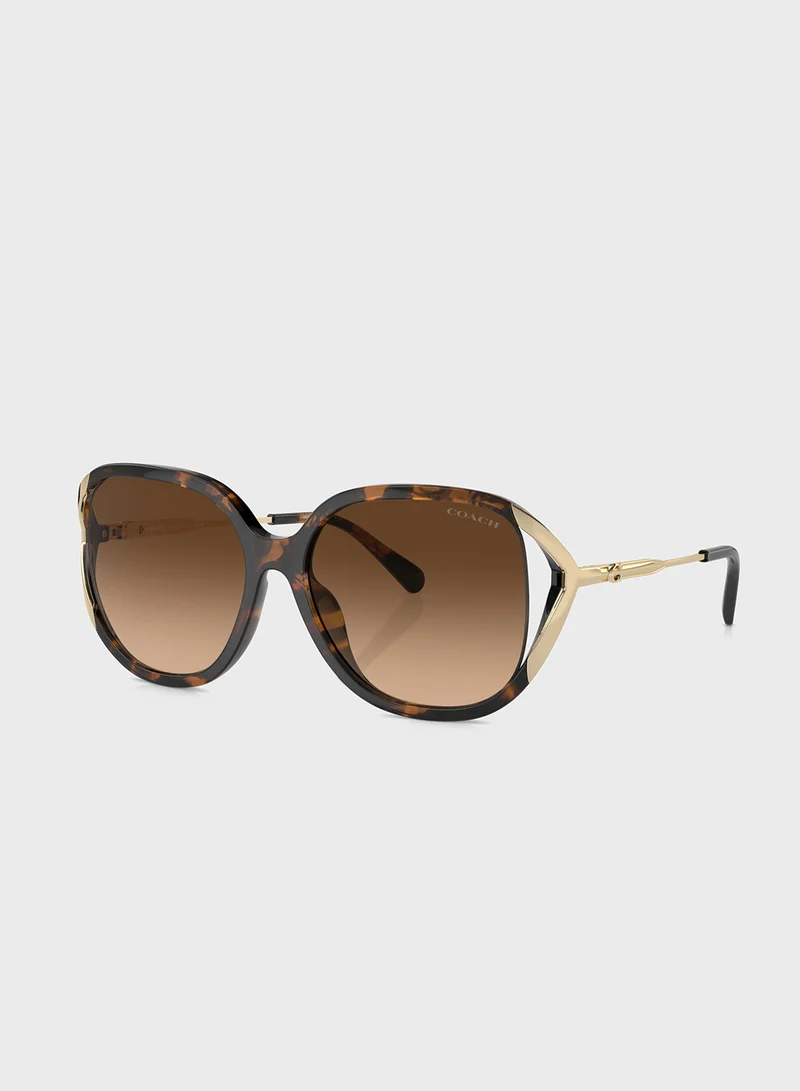 COACH 0Hc8396U Square Sunglasses