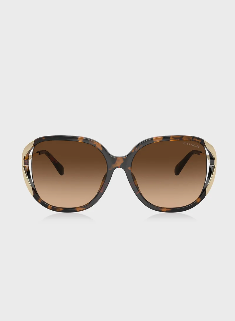 COACH 0Hc8396U Square Sunglasses