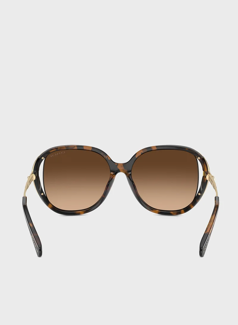 COACH 0Hc8396U Square Sunglasses