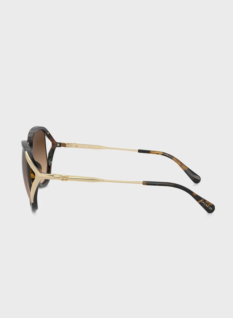 COACH 0Hc8396U Square Sunglasses