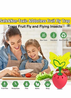 KASTWAVE Fruit Fly Trap, Fly Catcher Gnat Trap Fruit Fly Killer with 16 Yellow Sticky Traps 2 Trapping agent, Gnat Trap with Bait for Indoor Outdoor, Safe Non-Toxic Fly Trap for Home/Kitchen/Plant (2 Pack)  - Image 5