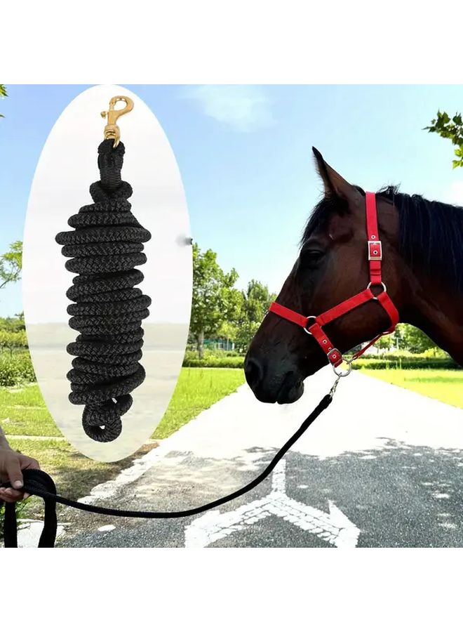 حبل جر الأحصنة الثقيل الأزرق من النايلون المفتول المزدوج مع خطاطيف زنبركية 300 سم - Image 2