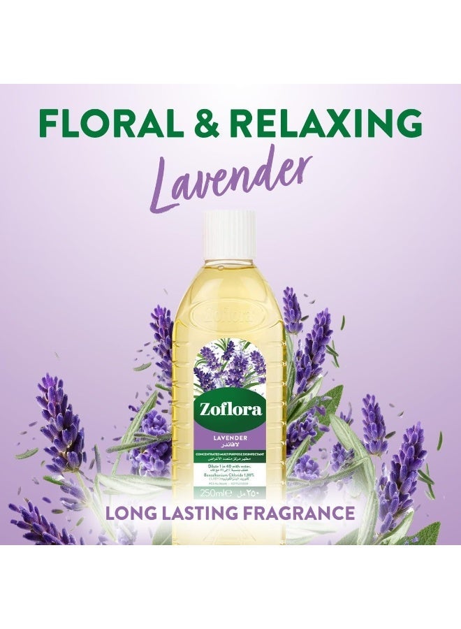 زوفلورا مطهر مركز متعدد الأغراض - برائحة اللافندر المنعشة - 120 مل (يصنع 4.8 لتر) - Image 5