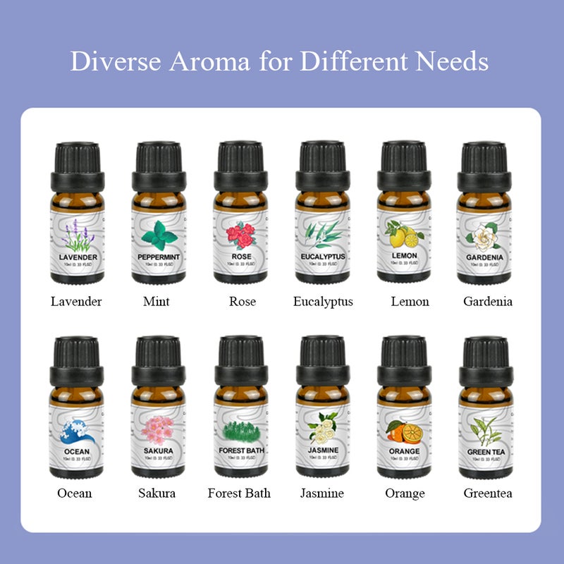 10 مل من زيت العطر النقي المحيطي لمستعدل الرطوبة والعلاج العطري في المنزل والغرفة النوم والبار والنادي والتماس - Image 2