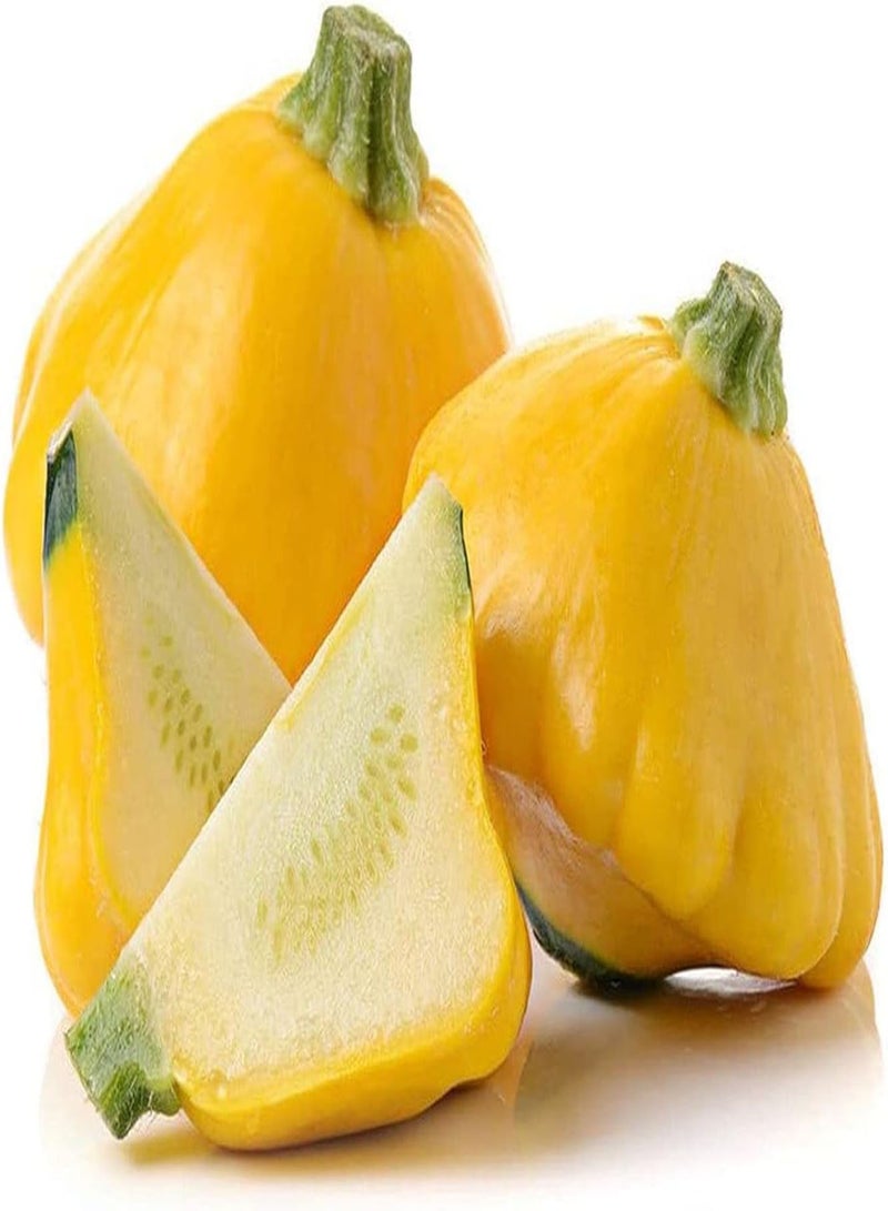 GGOOT 50pcs graines de courgettes jaunes entretien facile Culture Simple pas de problème adapté famille personnelle Tentative de Plantation taux de Germination élevé - Image 2