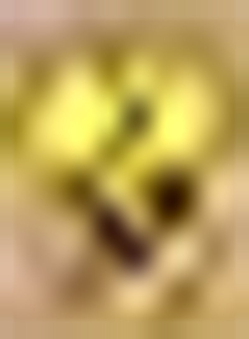 GGOOT 50pcs graines de courgettes jaunes entretien facile Culture Simple pas de problème adapté famille personnelle Tentative de Plantation taux de Germination élevé - Image 1