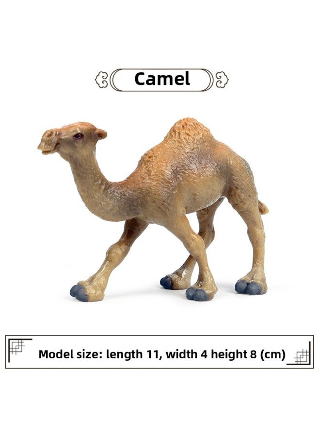 Solid Simulation Wild Animal Model Toy Camel Bimodal Camel Desert Camel Children's Cognitive Ornaments-Color:M-500 Camel 【0.064kg】】 - Image 1