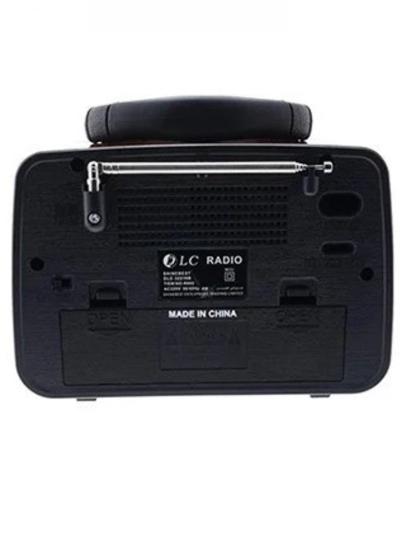 ELTRAZONE - "Classic Portable Radio with Bluetooth Speaker: DENX/DX2427 Brand Dink's" - Image 1