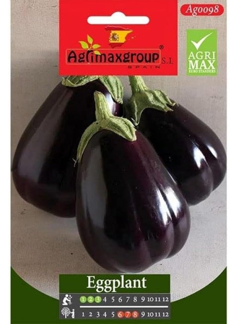 Eggplant Premium Quality Seeds by Agrimaxgroup®