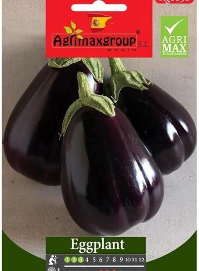 أجريماكس بذور الباذنجان عالية الجودة من Agrimaxgroup® - Image 2