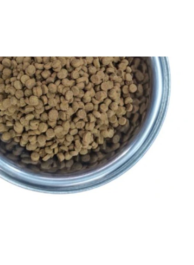 Vita Maxx Vitamaxx Cat Dry Food with Chicken & Turkey – 3kg | High-Protein, Complete & Balanced Nutrition for Adult Cats | Supports Healthy Skin, Coat & Digestion - Image 2