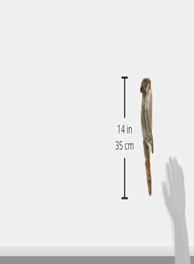Hansa Flying Squirrel Plush - Image 3