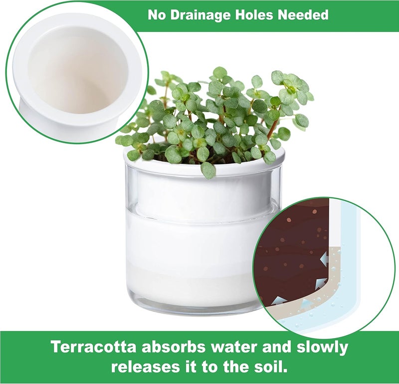 Phoenix Vine 4 Inch Self Watering Planter Pot, Design White Terracotta Pots for Plants, Indoor Cylinder Terra Cotta Pots with Glass Vase, Set of 4, 51-B-E-4 - Image 3