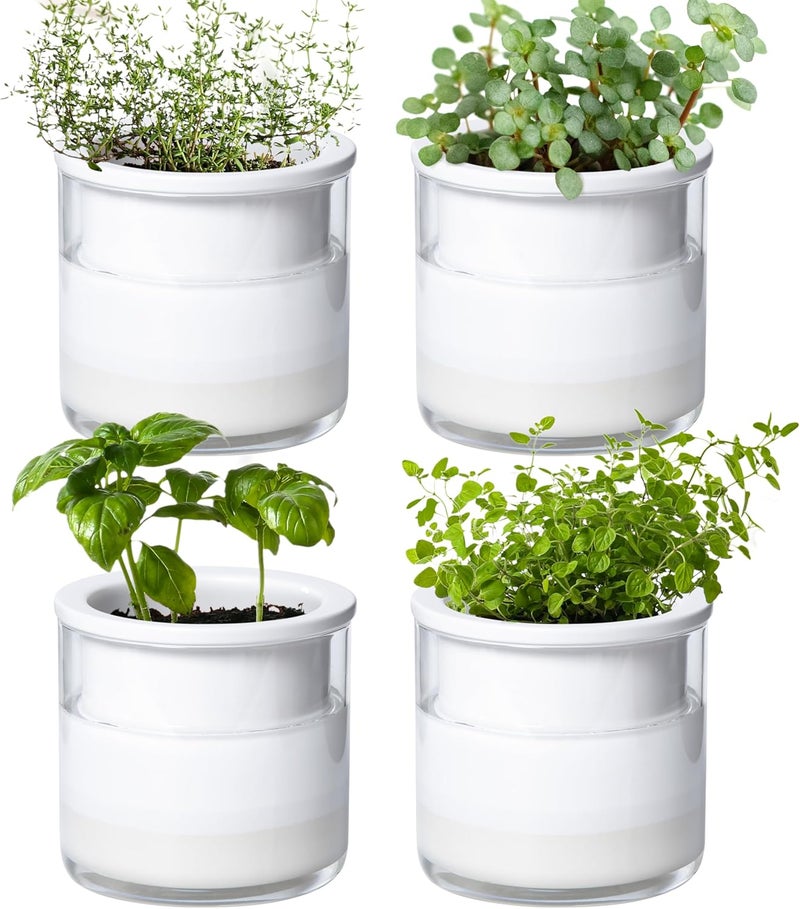Phoenix Vine 4 Inch Self Watering Planter Pot, Design White Terracotta Pots for Plants, Indoor Cylinder Terra Cotta Pots with Glass Vase, Set of 4, 51-B-E-4 - Image 1