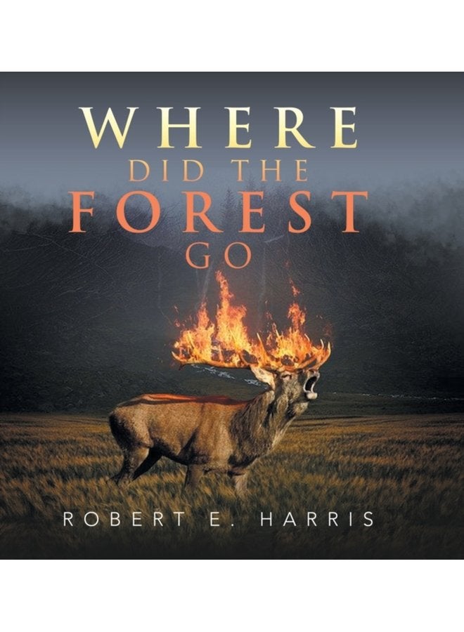 Where Did the Forest Go - Hardback