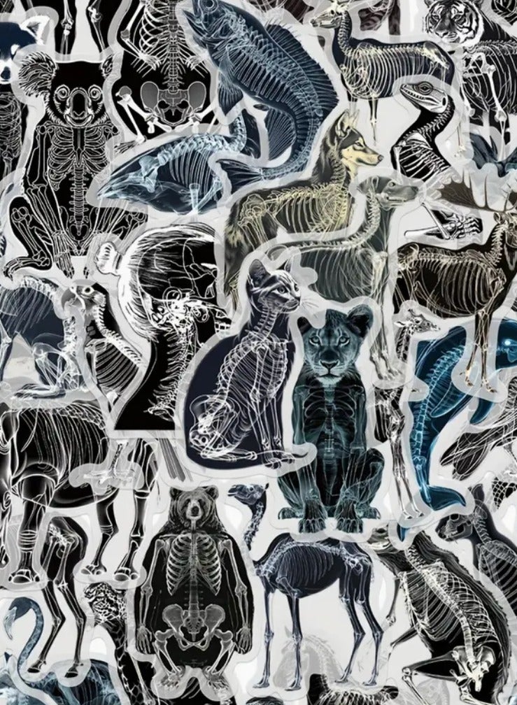 50 pieces. Cartoon stickers. Skeleton X-ray design. Self-adhesive stickers. PVC. Waterproof stickers. Matte finish. Irregular shapes. Stickers for bags. Stickers for skateboards. Stickers for guitars. Stickers for water bottles. Stickers for computers. Single-use stickers.  50 pieces. Stickers. Adhesive. Waterproof vinyl stickers. Glossy finish. Scrapbooking stickers. Magazine stickers. Laptop stickers. Bumper stickers. Skateboard stickers. Water bottle stickers. Computer stickers. Phone stickers. Cartoon stickers. Hard hat stickers. - Image 1