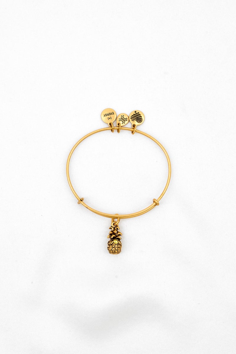 ALEX AND ANI Women Stainless Steel Pineapple III EWB Rafaelian Bracelet, Gold  - Image 2