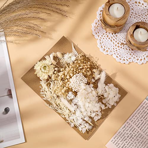 AhlsenL Real Natural Dried Flowers - Mixed Hydrangeas, Daisies, White Decorative for DIY Candle Resin Jewelry Nail Pendant Crafts (Beige) - Image 3