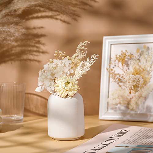 AhlsenL Real Natural Dried Flowers - Mixed Hydrangeas, Daisies, White Decorative for DIY Candle Resin Jewelry Nail Pendant Crafts (Beige) - Image 5