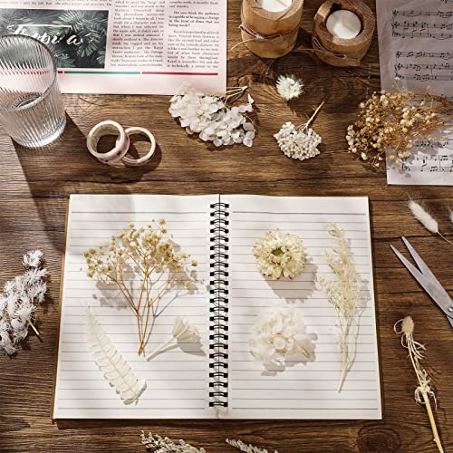 AhlsenL Real Natural Dried Flowers - Mixed Hydrangeas, Daisies, White Decorative for DIY Candle Resin Jewelry Nail Pendant Crafts (Beige) - Image 4