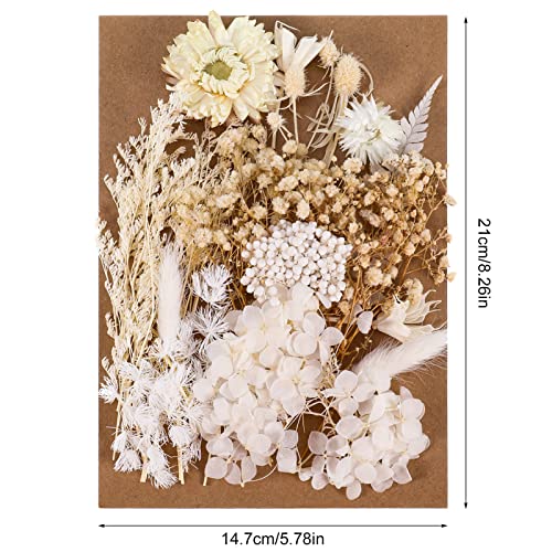 AhlsenL Real Natural Dried Flowers - Mixed Hydrangeas, Daisies, White Decorative for DIY Candle Resin Jewelry Nail Pendant Crafts (Beige) - Image 2
