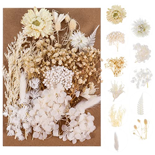 AhlsenL Real Natural Dried Flowers - Mixed Hydrangeas, Daisies, White Decorative for DIY Candle Resin Jewelry Nail Pendant Crafts (Beige) - Image 1