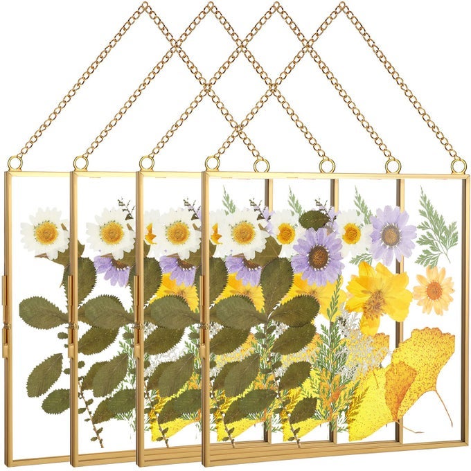 4 PCS GLASS FRAME FOR PRESSED FLOWER 8X8 INCH CLEAR WALL HANGING PHOTO FRAME GLASS PICTURE DOUBLE SQUARE METAL FLOATING DIY VINTAGE ARTWORK DISPLAY WITH CHAIN FOR POSTER GOLD