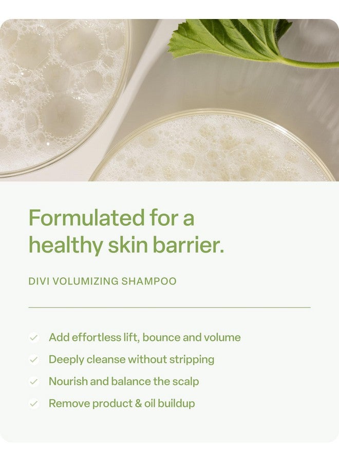 ديفي شامبو مكثف للشعر للنساء والرجال - شامبو خفيف الوزن ومكثف للشعر الناعم - مصمم لتنظيف فروة الرأس وتغذيتها وتوازنها، 12 أونصة سائلة. - Image 2