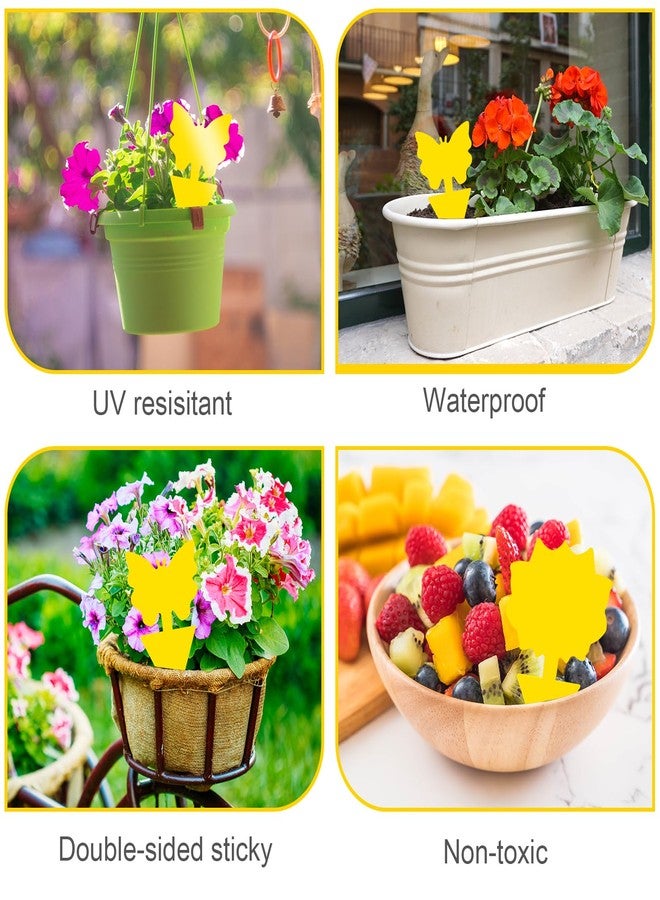 Boromine Fruit Fly Traps, 60 Pack Yellow Stick Traps, Fungus Gnat Traps, Plant Fly Stickers for Indoor and Outdoor Use Protect The Plant - Image 5