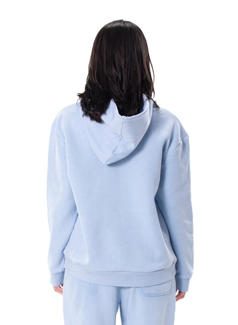 Naughty Goose Hoodie Powder Blue - Image 5