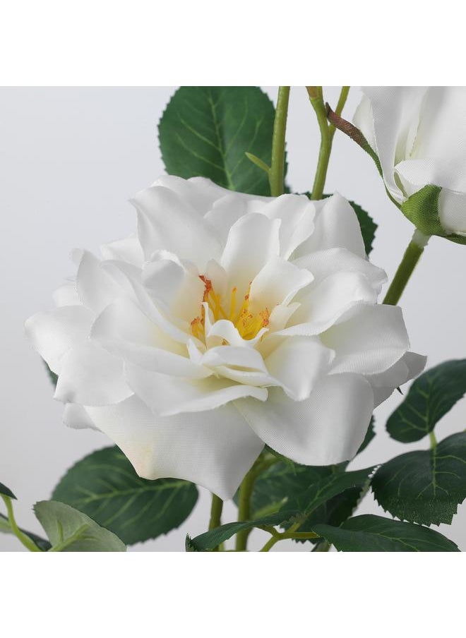 erorex Artificial flower, in/outdoor/Rose white, 65 cm  - Image 4