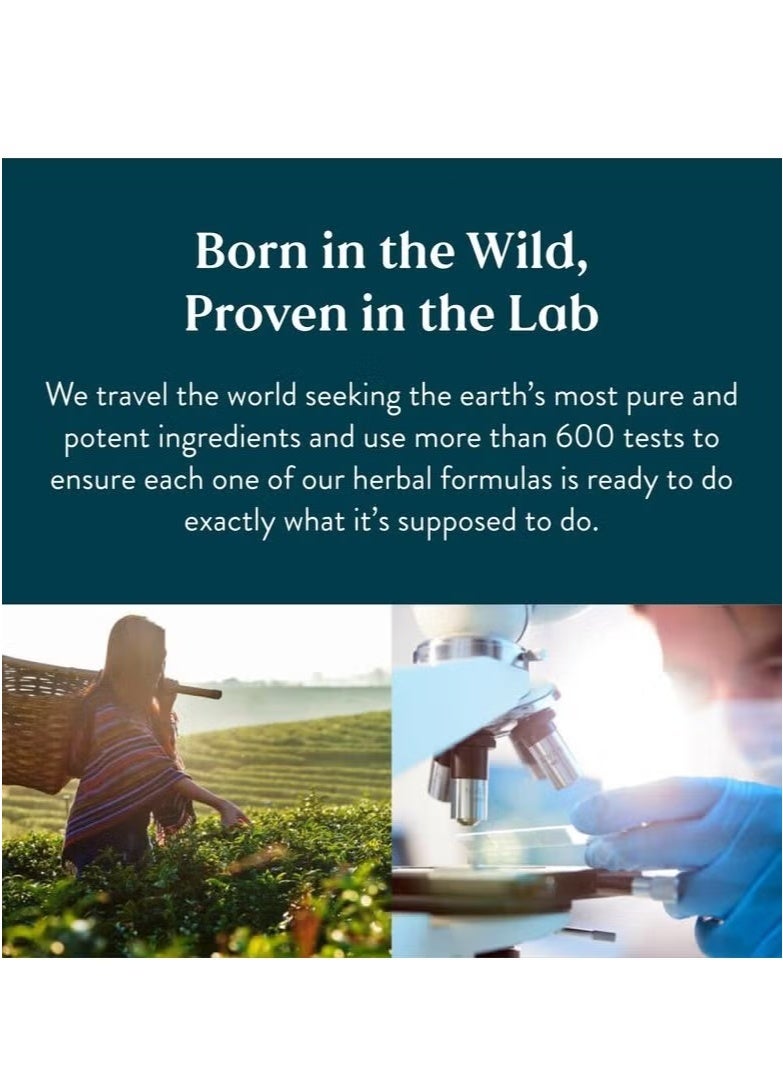 ناتشرز صن شاين مكمل تصريف الليمف: تقليل الانتفاخ، تقليل الانتفاخ السطحي، التخلص من السموم، دعم تدفق الليمف، يساعد في الشفاء. مستخلصات عشبية طبيعية لتحسين الصحة والدورة الدموية. - Image 5