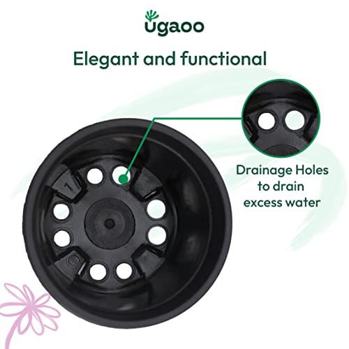 Ugaoo UV Treated Gardening Pots for Plants (8 inch Black Color Set of 12 Plastic Pots) - Image 5