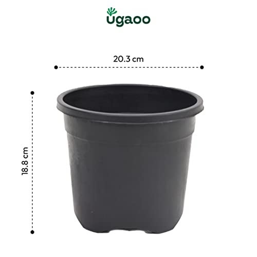 Ugaoo UV Treated Gardening Pots for Plants (8 inch Black Color Set of 12 Plastic Pots) - Image 4