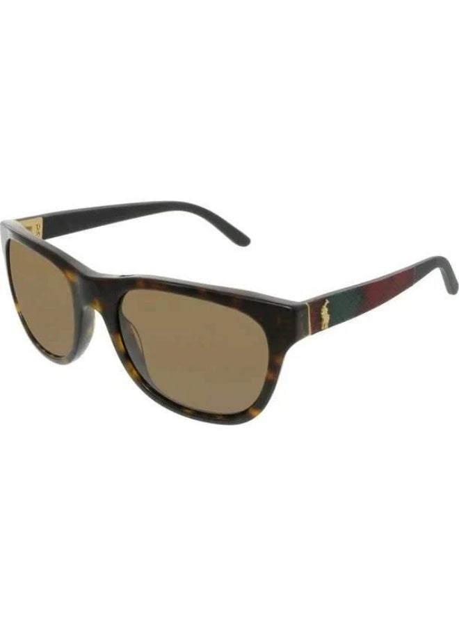 بولو رالف لورين POLO RALPH LAUREN PH4091 5502/73 55 نظارة شمسية مربعة للرجال - عتيقة هافانا داكنة ترتان - Image 1