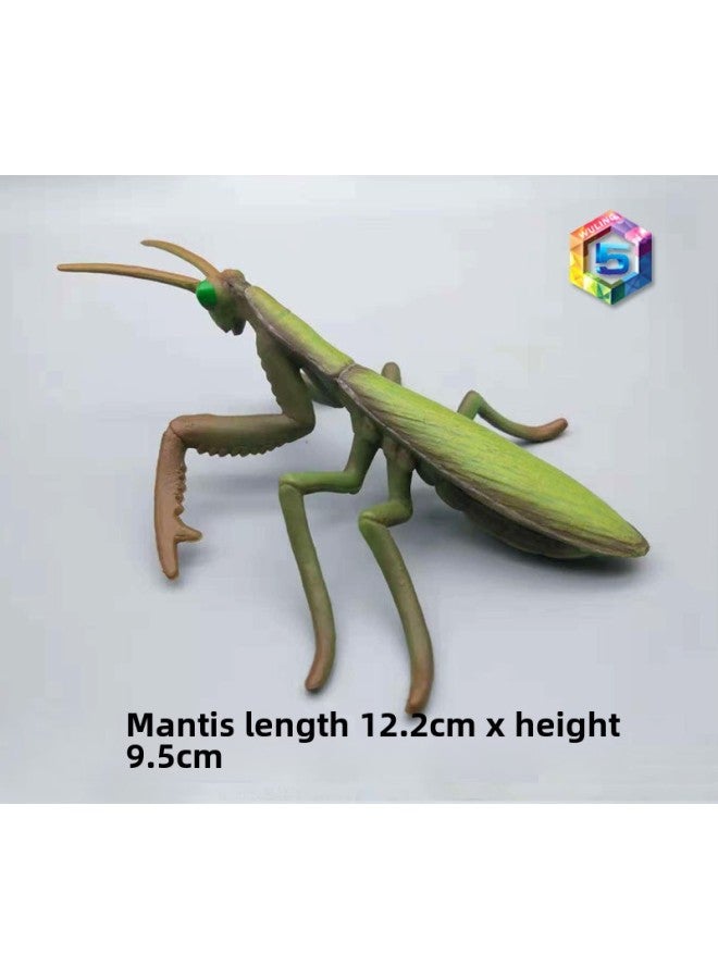 Simulation Animal Insect Model Cognitive Toy Spider Butterfly Bee Cockroach Caterpillar And Other Animal Model Toy-Color:659 Mantis  - Image 1