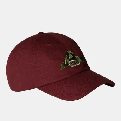 THE NORTH FACE Norm Cap