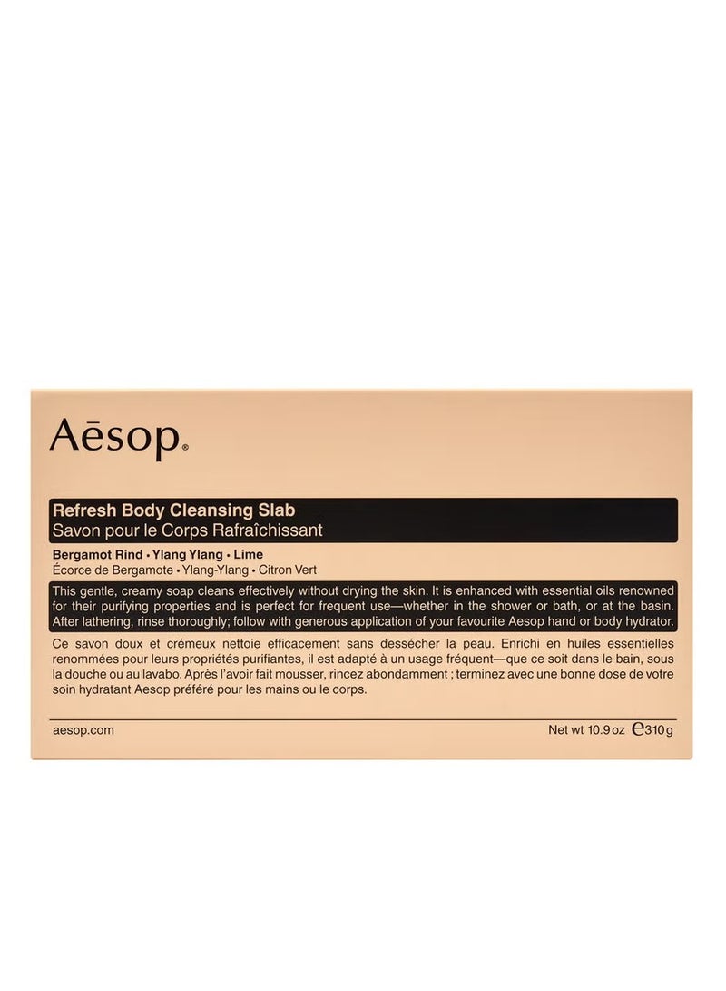 أيسوب لوح تنظيف الجسم من إيسوب ريفريش 310 جرام - Image 1